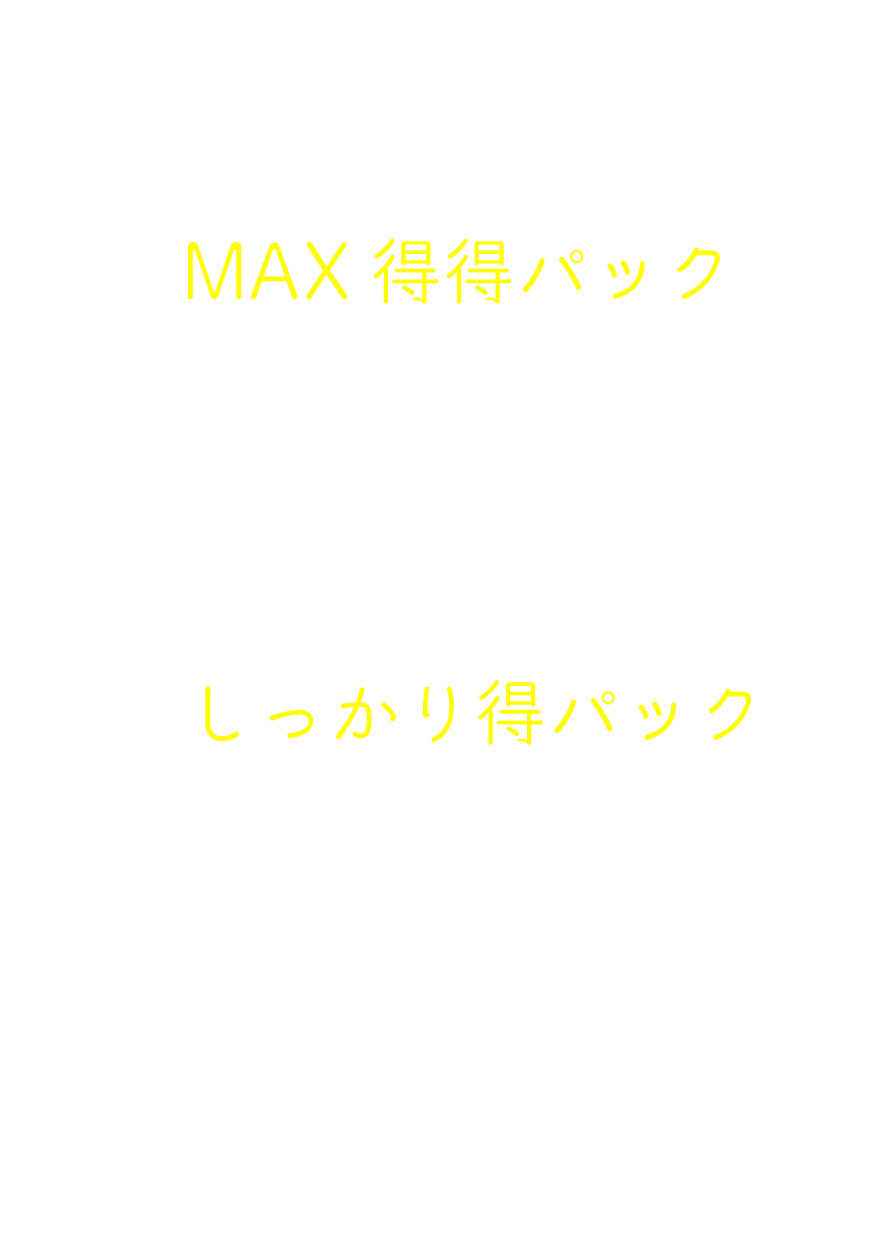 SNS更新代行　激安料金プラン